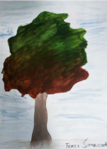Image Description